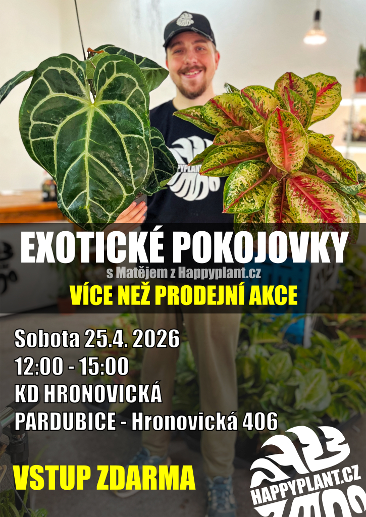 Výstava květin I 25. 4. 2026 